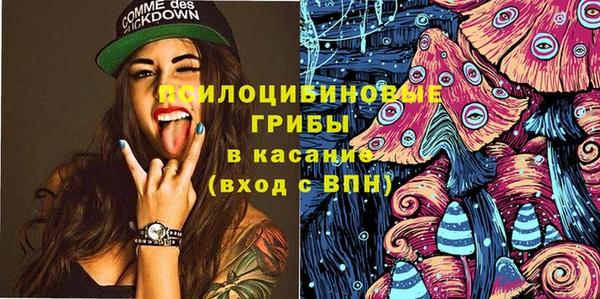 винт Лагань