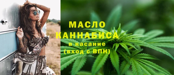 винт Лагань