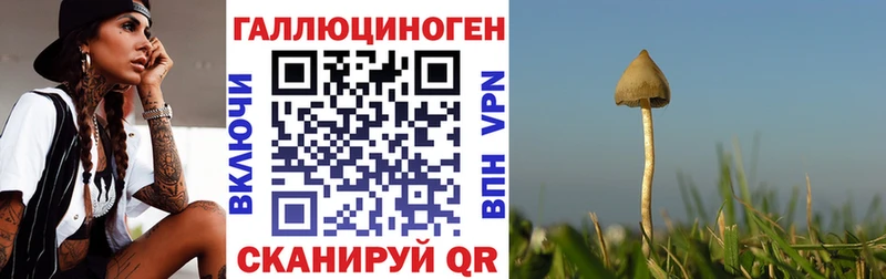 Псилоцибиновые грибы мухоморы  Купить  Уварово 