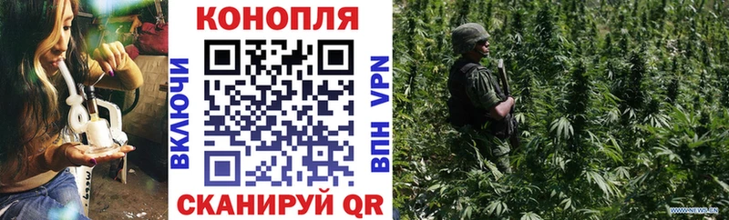 Бошки марихуана семена  Купить где  Уварово 